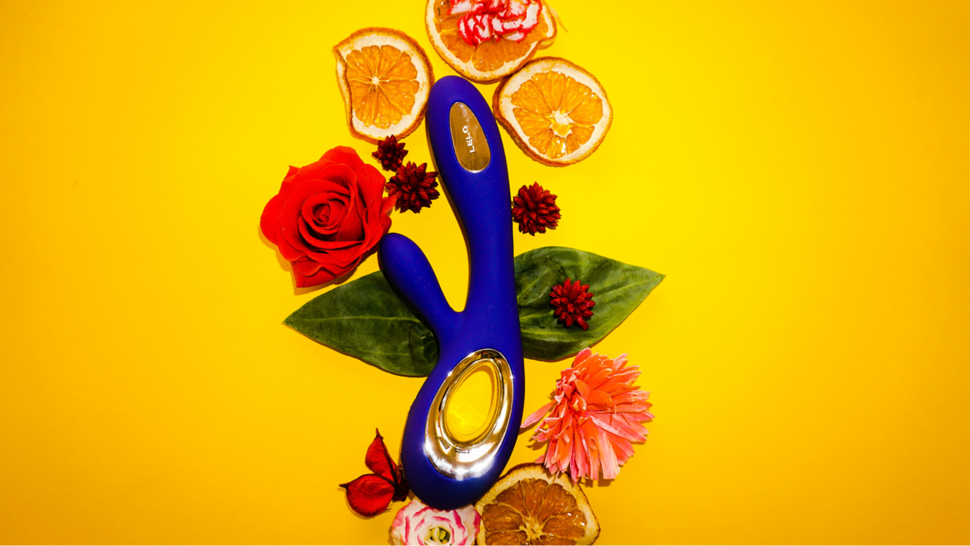 Rabbit Vibrator Not Turning On | Quick Fix Guide  ToyHubUSA