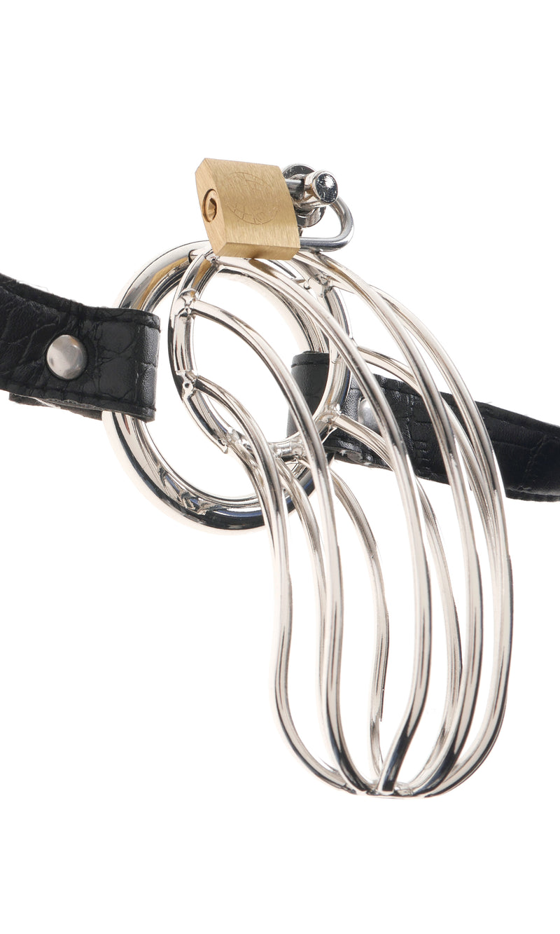 Steel Cock Cage Chastity Belt for Ultimate Submissive Control and Eco-Friendly Play